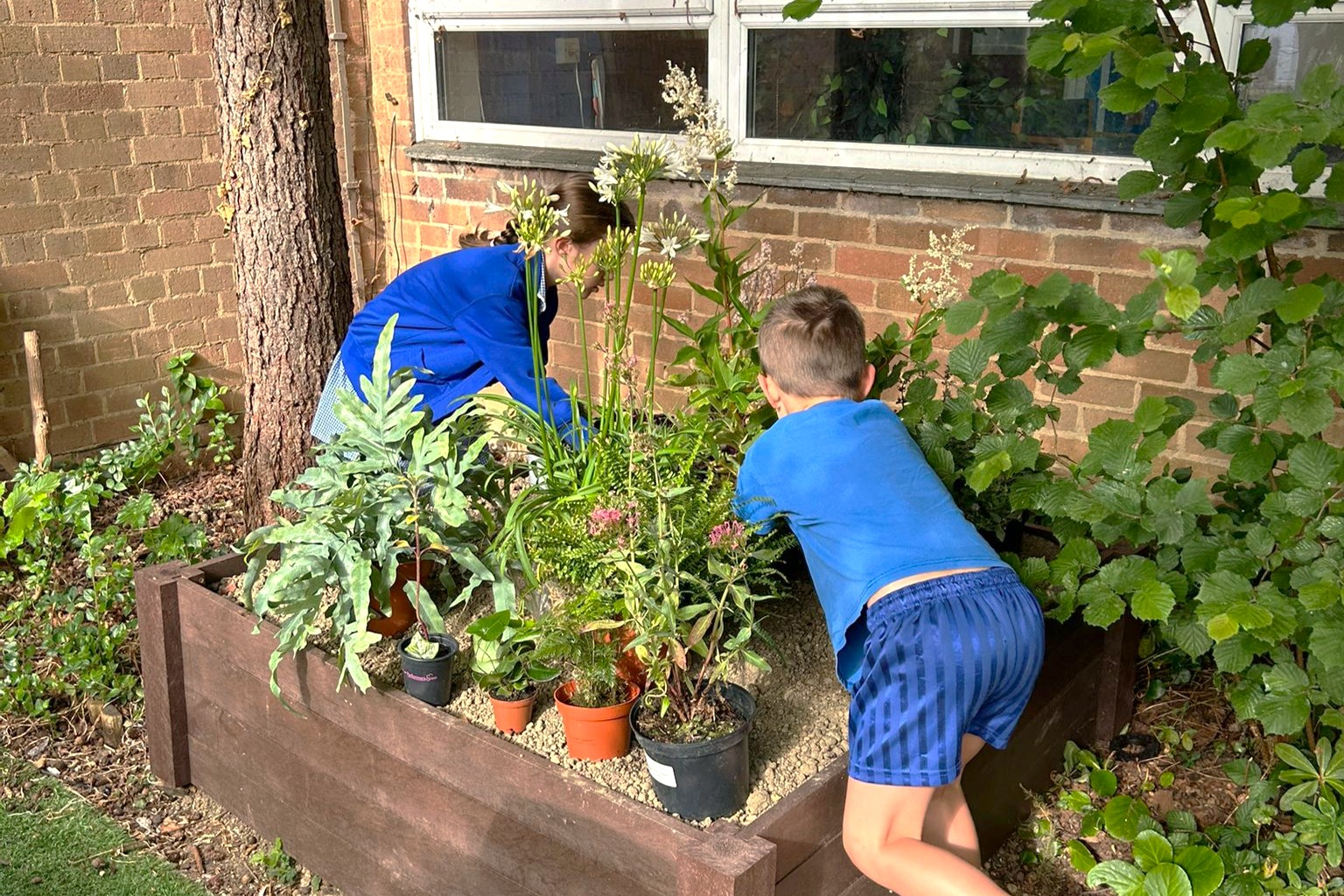 Donation to a local school in Windsor supporting the creation of a sensory garden